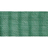 Telo X Olive Antispina Super Stars