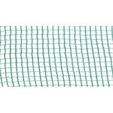 Telo X Olive Puglia + Spacco Stars