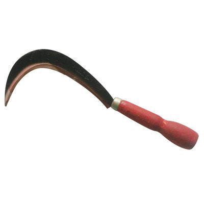 Roncolina X Ortaggi Stars