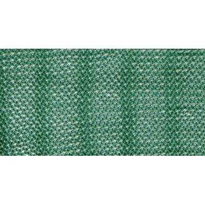 Telo X Olive Antispina Super Stars